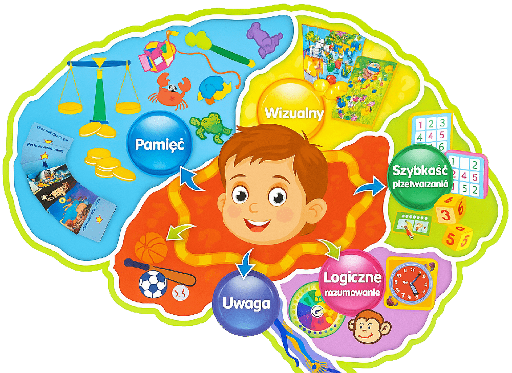 Jak działa mózg dziecka - grafika. 